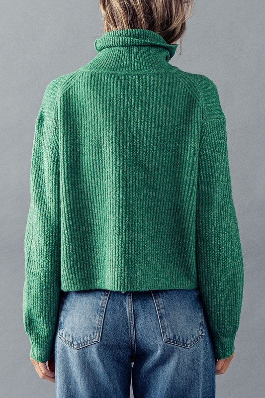 Turtle Neck Rib Knit Sweater