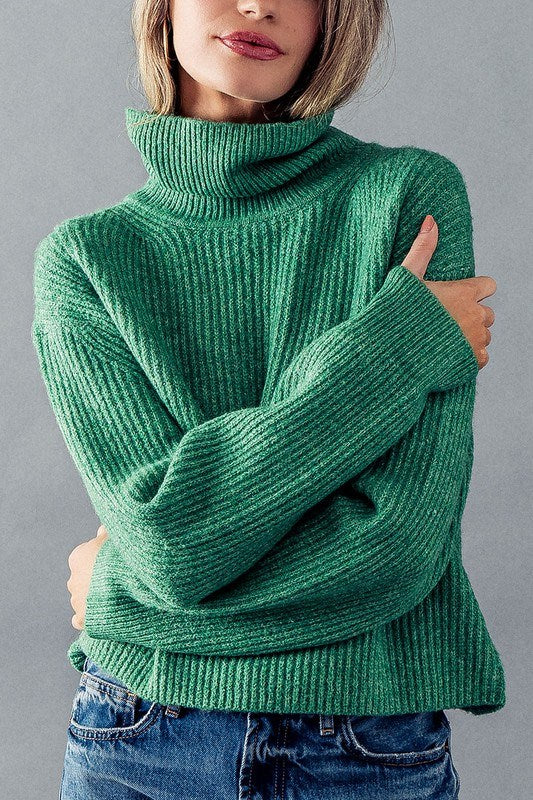 Turtle Neck Rib Knit Sweater